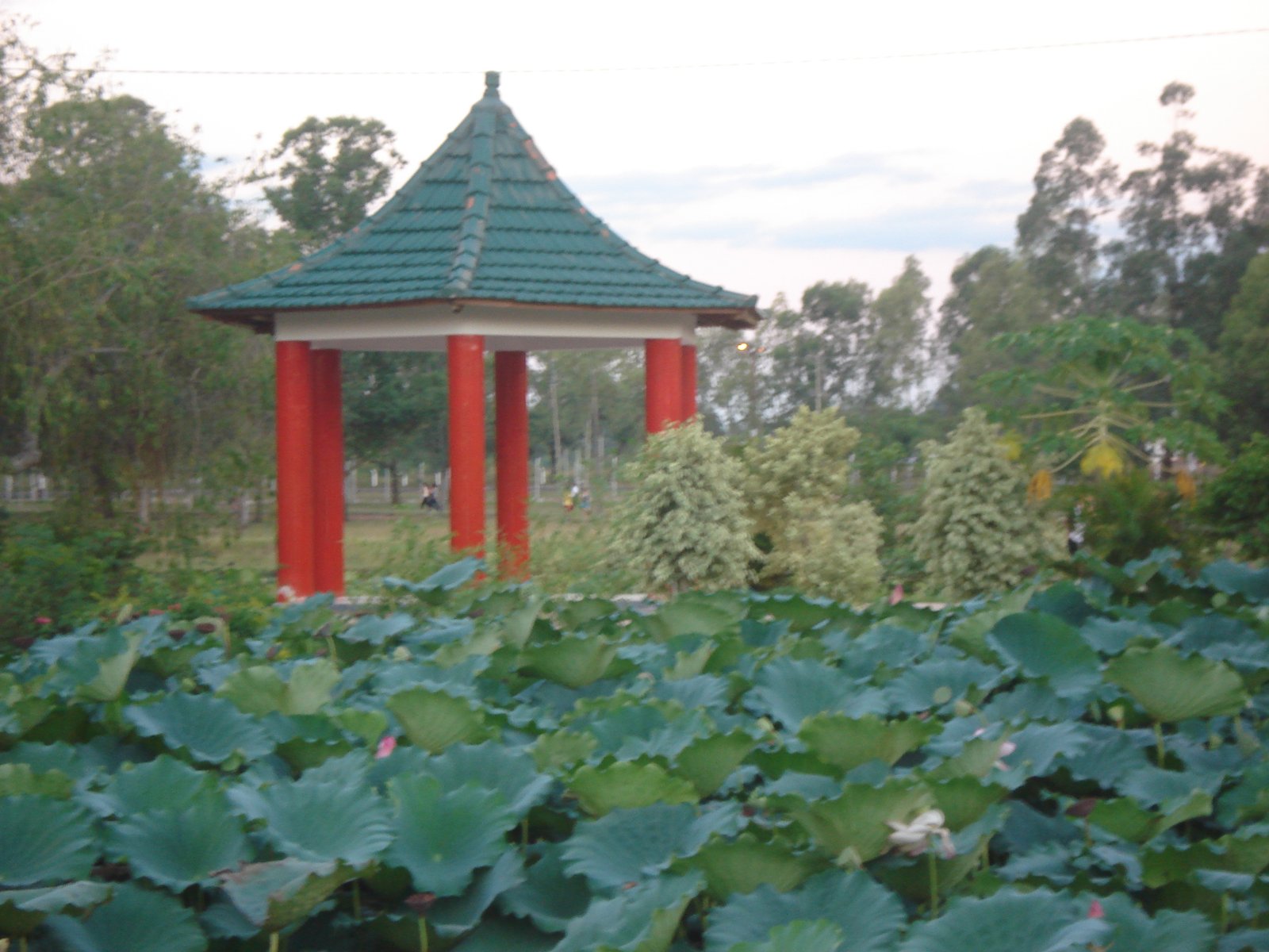 Parque Ñu Guasu em Luque e Assunção